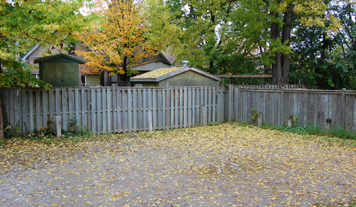 craig backyard