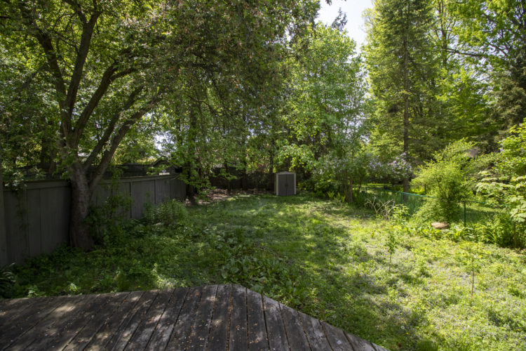 MG_3236-750x500