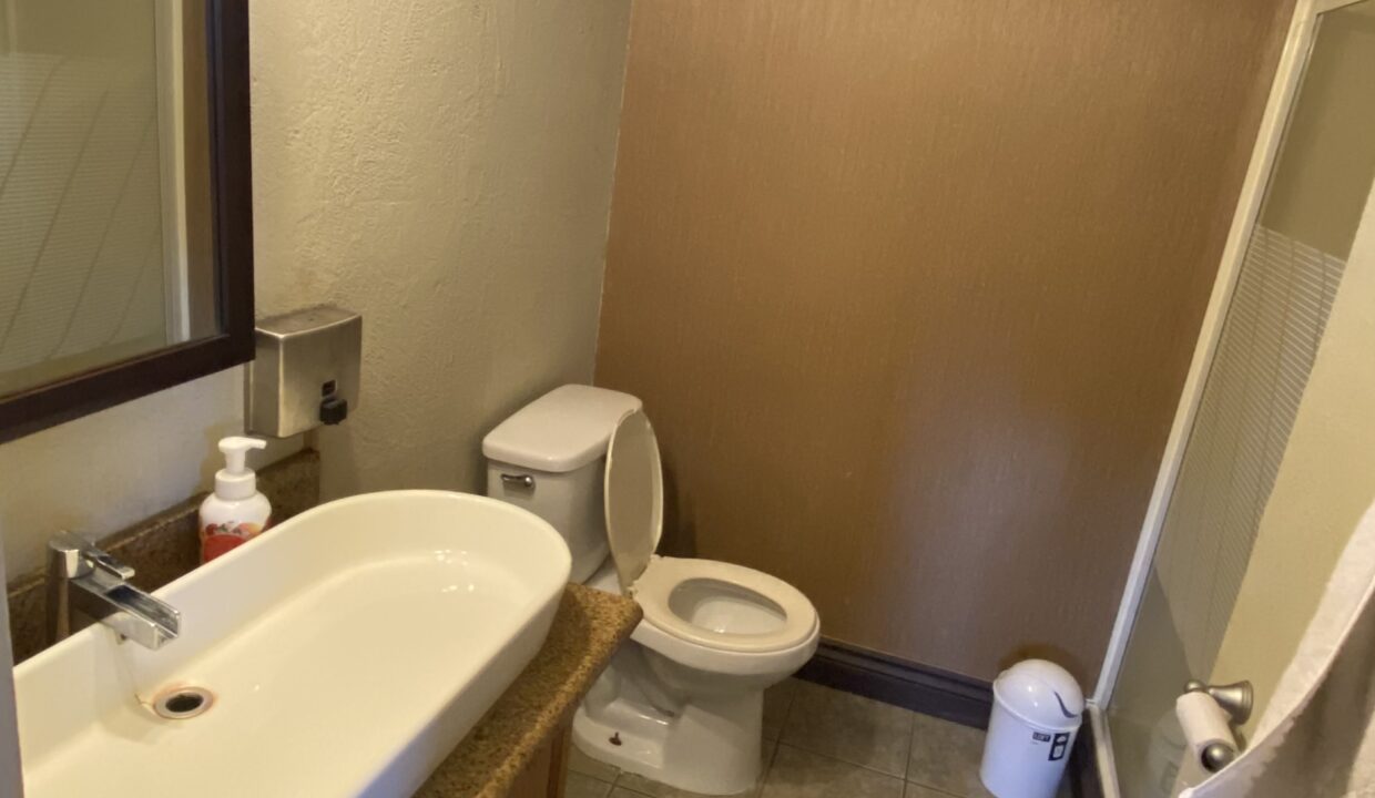 Lower Level Bathroom