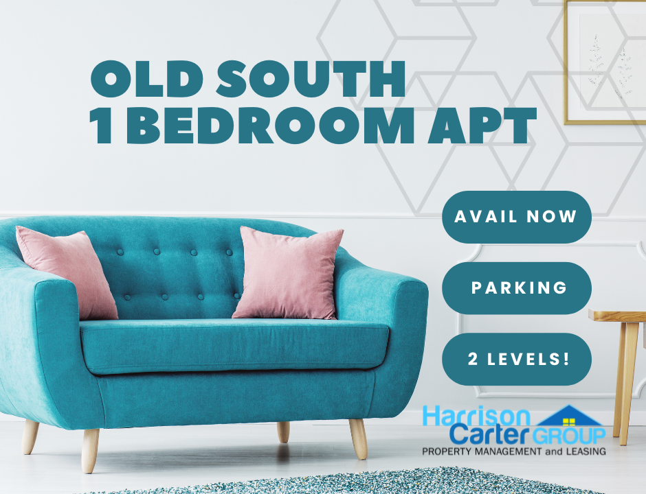 Old SOUTH 1 Bedroom Apt