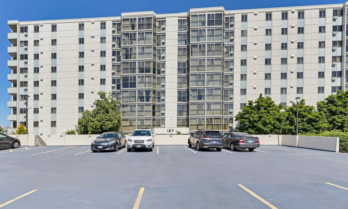 31_ 36