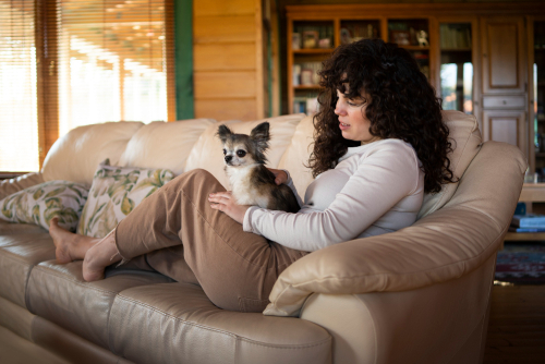 renting-with-pets-in-Ontario-tenant-rights