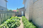 path next to house with greenery on either side